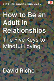 Littler Books cover of How to Be an Adult in Relationships: The Five Keys to Mindful Loving Summary